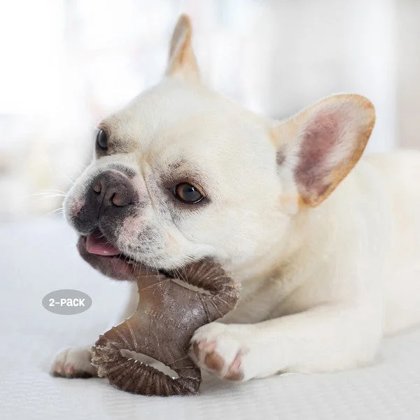 - Travel pet toy recommendationsBenebone Tiny 2-Pack Dental Chew & Wishbone Bacon Flavour