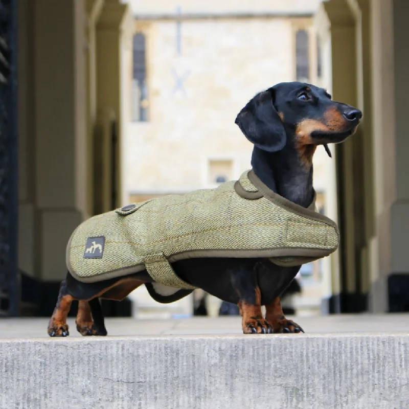 - Remote interactive pet feederCountry and Twee Green Tweed Water Resistant Dachshund Dog Coat