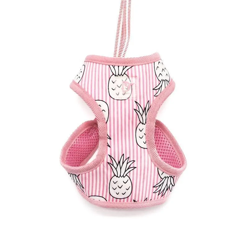 - Foldable and portable cat bagEasy Go Pineapple Pink Dog Harness