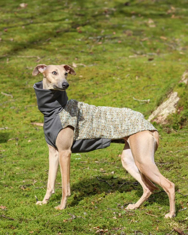 ---The OPAL Jumper - Iggy Size