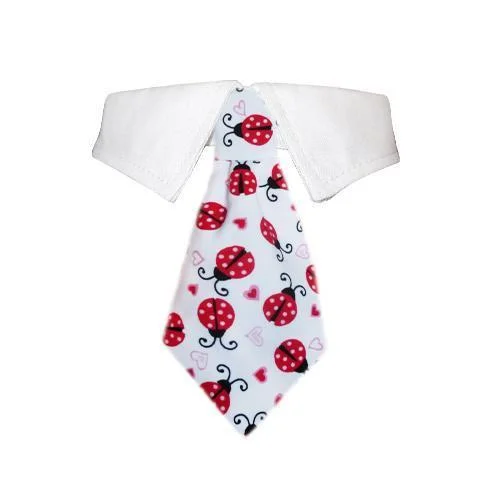 - Pet tear stain cleaning wipesLady Bug Dog Shirt Collar
