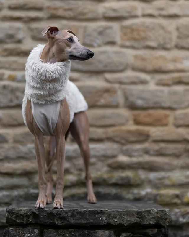 - Winter warm clothes for short-haired dogsThe PANDORA Whippet Jumper