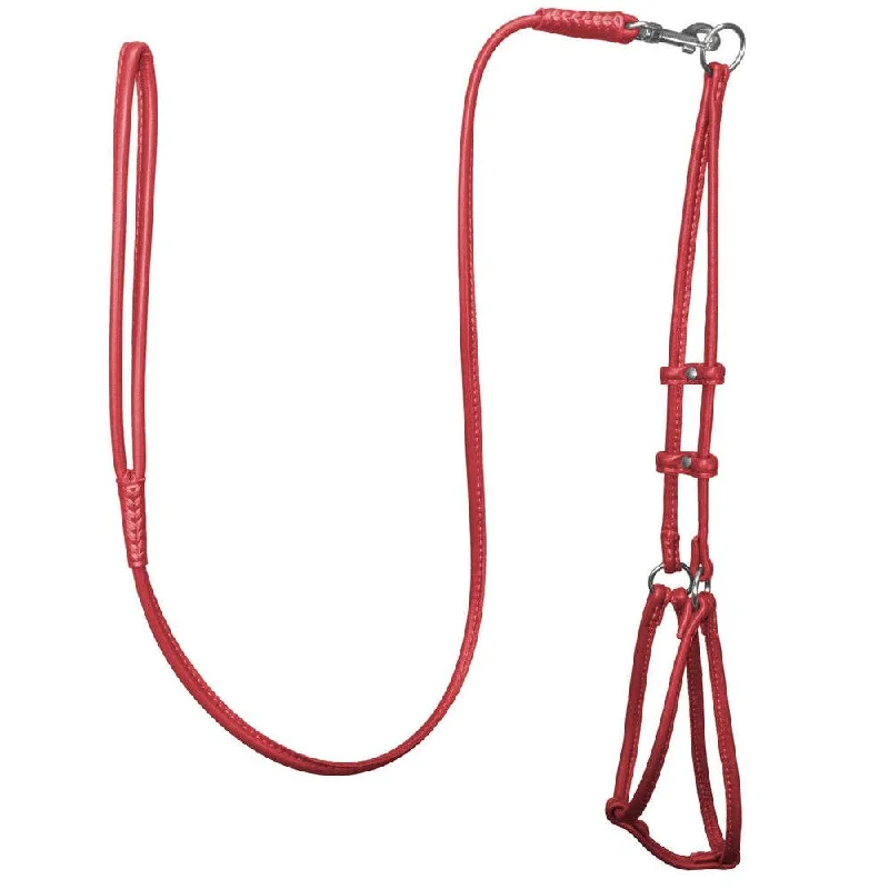 Classification by function or use:Soft Leather Harness & Leash