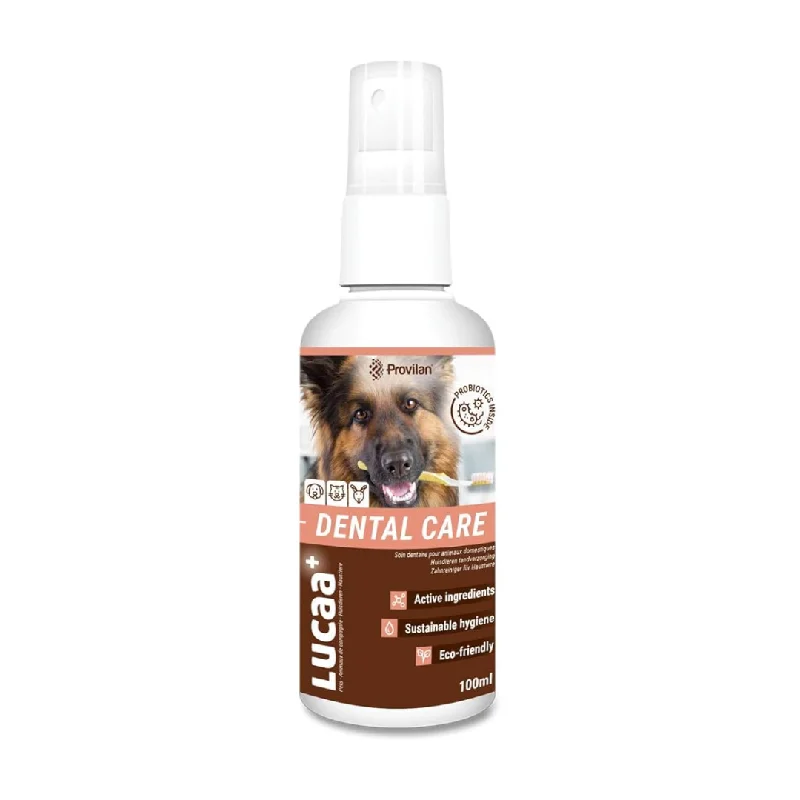 - Automatic temperature adjustment cat bedProbiotic Pet Dental Care | Provilan Lucaa+