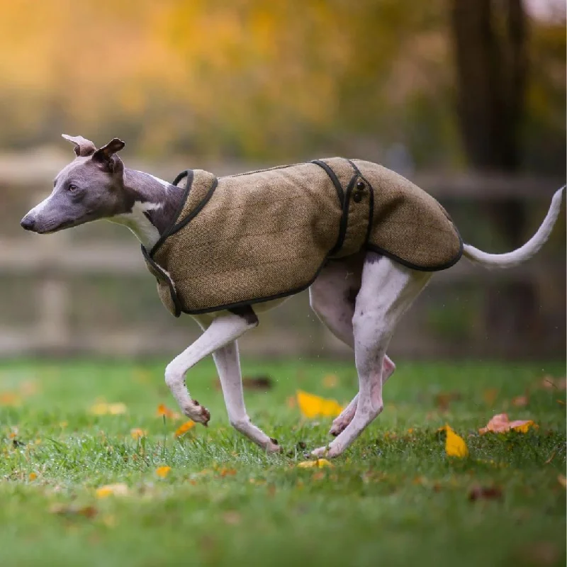 - Air box TSA certified check-inCountry and Twee Green Tweed Whippet Coat