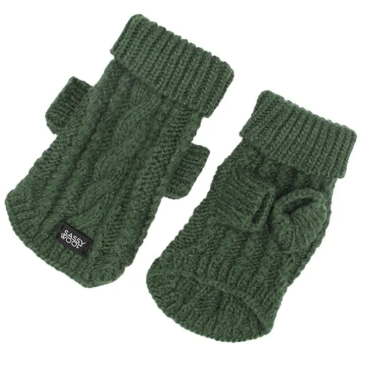 XX brand pet fashionCable Knit Sweater in Dark Green