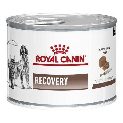    - Affordable cat food with good quality  Royal Canin Veterinary Diet Dog and Cat Recovery Wet Food 195g x 12