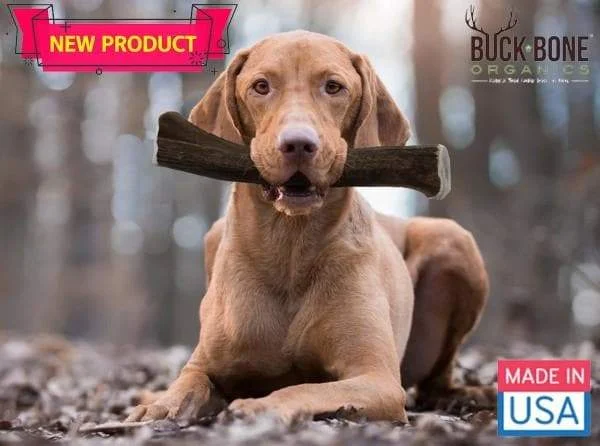 - Pet monitor with cameraBuck Bone® Naturally Shed Elk Antler Dog Chew