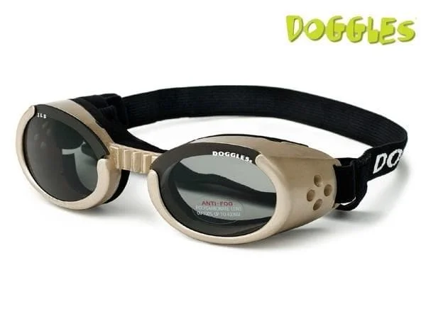- Pet stroller can be taken on the planeChrome Doggles ILS Protective Eyewear