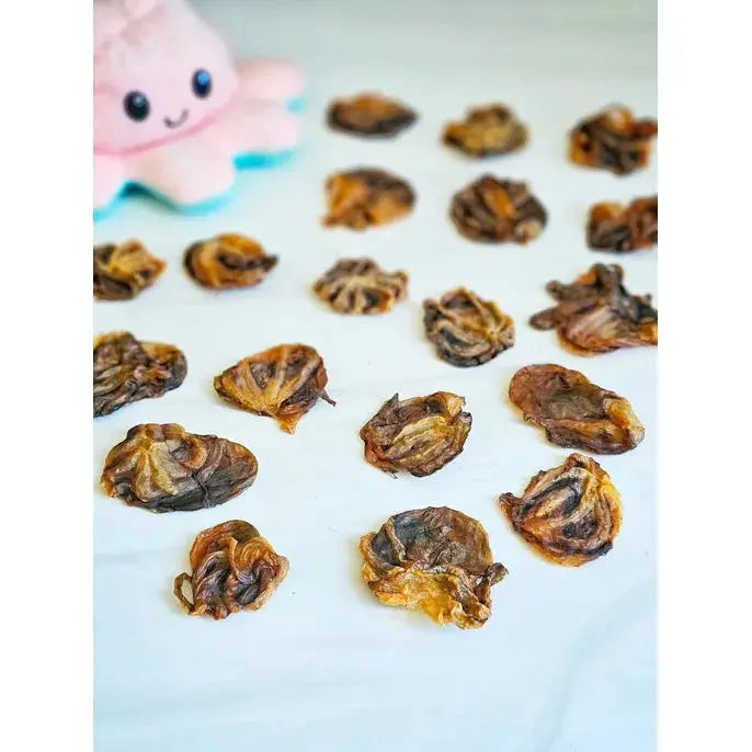 - Organic cotton dog bibsNaked Beasts Wild Caught Baby Octopus Exotic Protein Dog Treats - Organic cotton dog bibsNaked Beasts Wild Caught Baby Octopus Exotic Protein Dog Treats