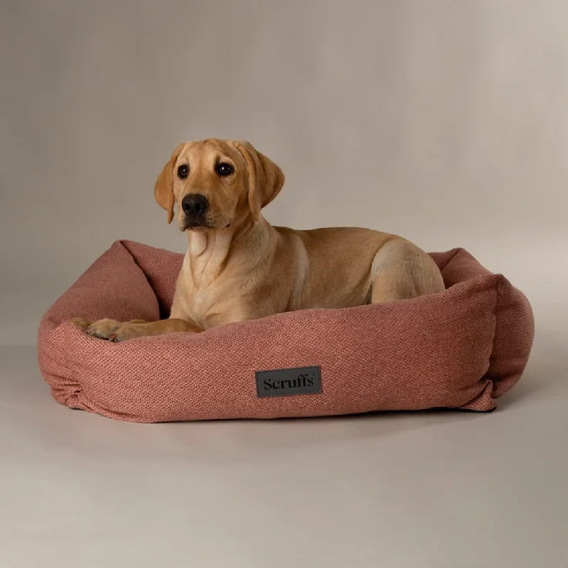 - Remote interactive pet feederScruffs Seattle Box Bed