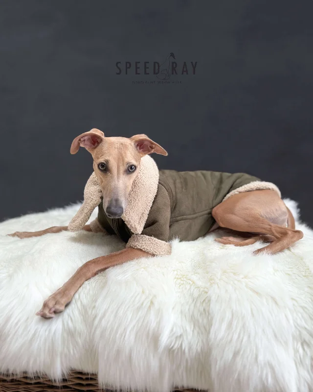 ---THE ANUBIS Whippet Flying Jacket