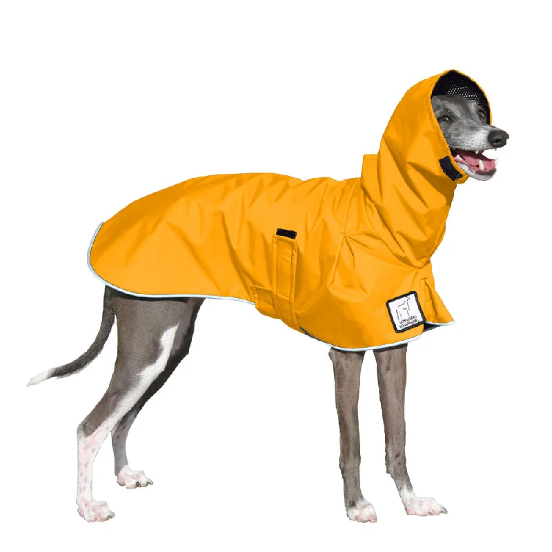 Classification by season or weather:Italian Greyhound Raincoat