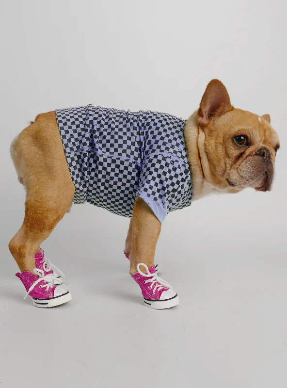 Cat clothesConverse Chunk Taylor Dog Shoes