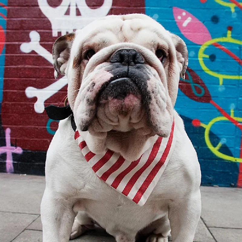 - Pet smart GPS locatorCreature Clothes Slip On Bandana Red And White Candy Stripe