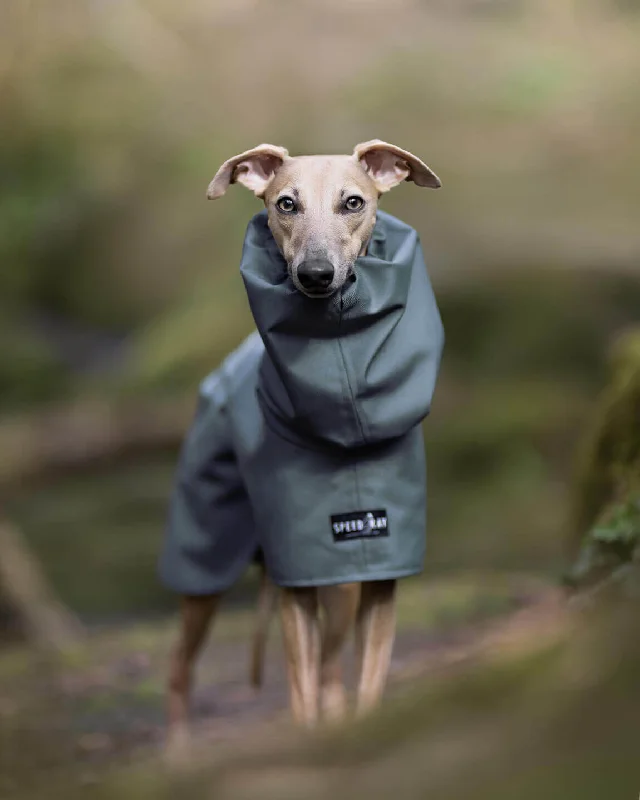 - Remote interactive pet feederTHE ELSA Lightweight, Water Resistant, Whippet Raincoat - Earthy tones