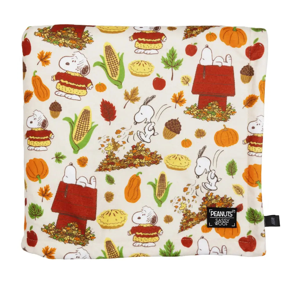 Pet raincoatPeanuts™ Harvest Blanket