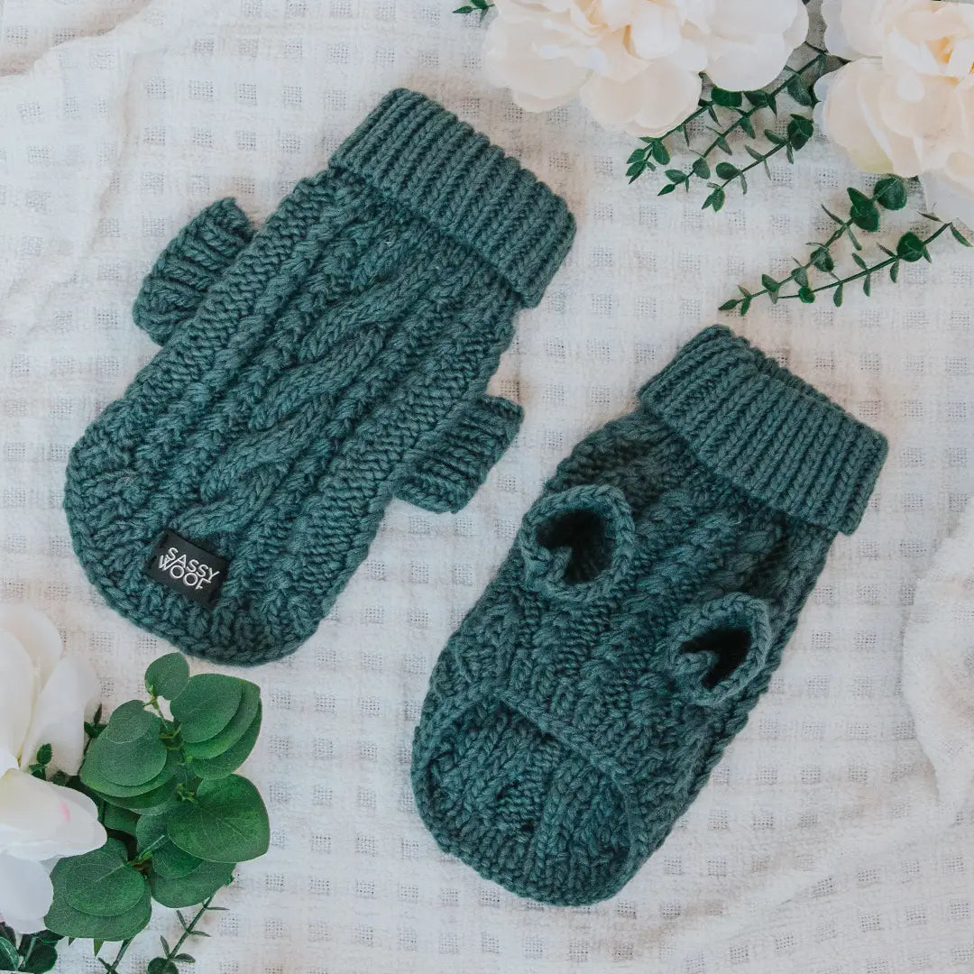 Pet Halloween clothesCable Knit Sweater in Teal