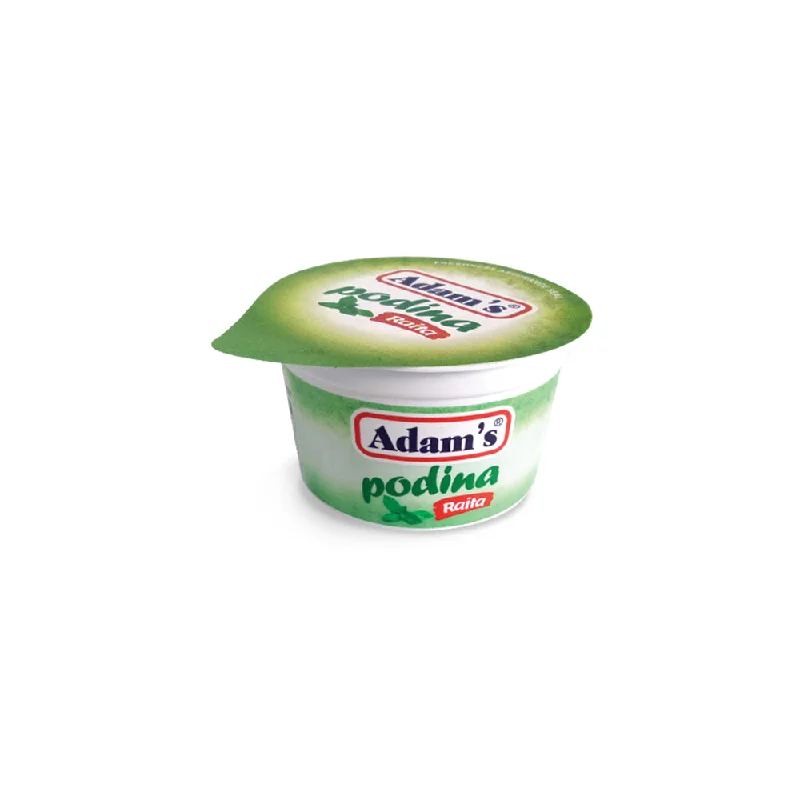 - Car dog seat beltADAMS PODINA RAITA 200 GM