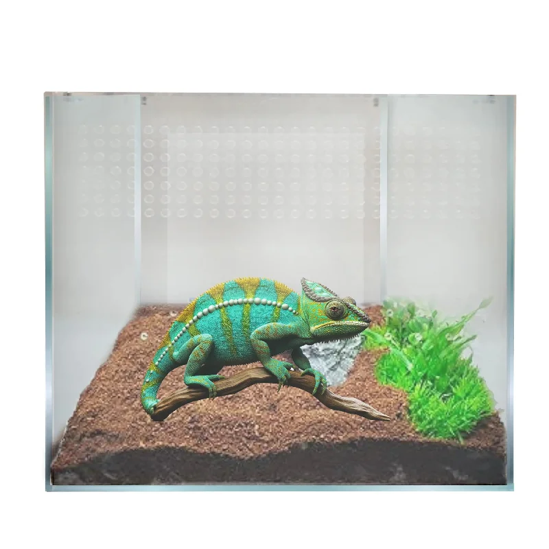 - Air box TSA certified check-inTalis-us Acrylic Reptile Enclosure Terrarium Cage For Lizard Snake Tarantula 9"x 9"x 9"