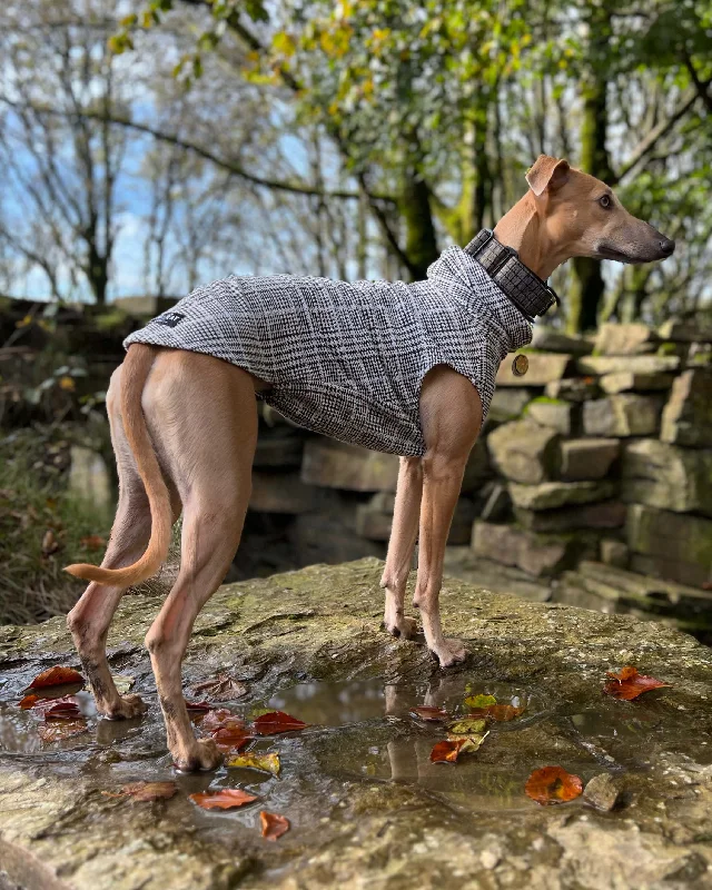 - Deodorizing cat litter tofu litterTHE DALTON Whippet Jumper