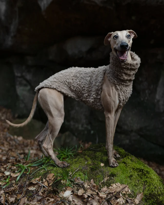 Taupe Brown