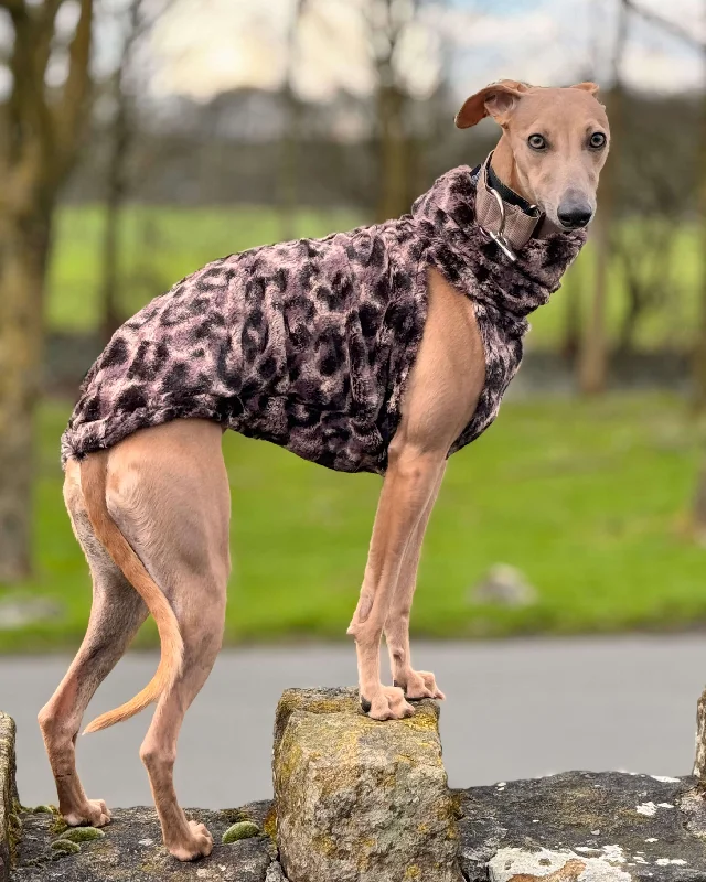 ---The ZENAH Whippet Jumper