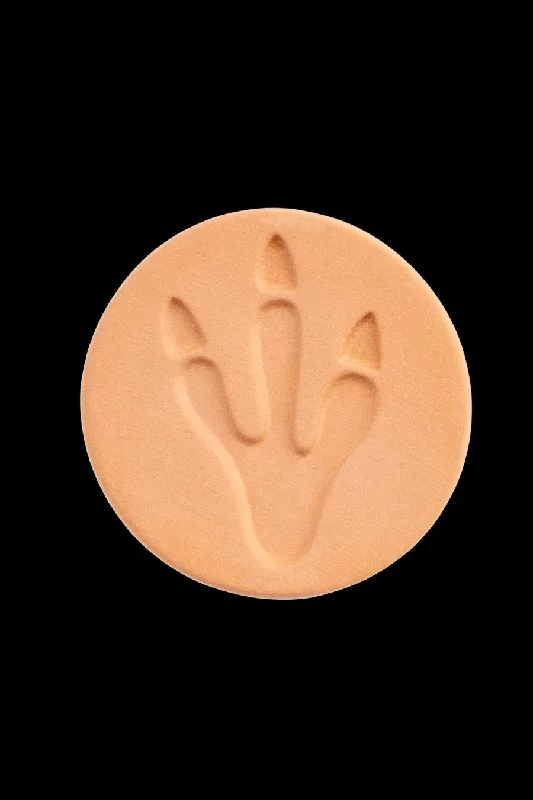 - Pet vitamin complex nutrition tabletsDaily High Club Fossil Footprint Hydrostone