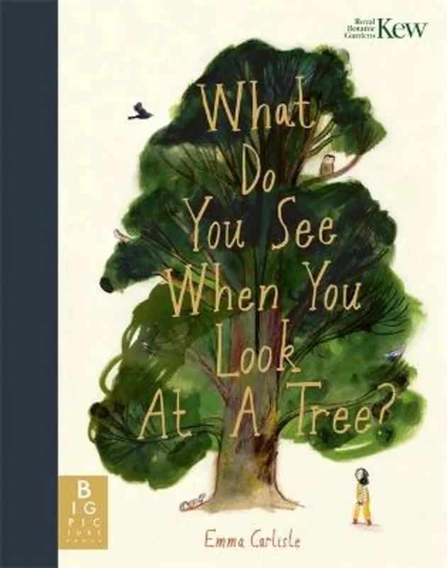 - Natural latex pet mattressWhat Do You See When You Look At a Tree?