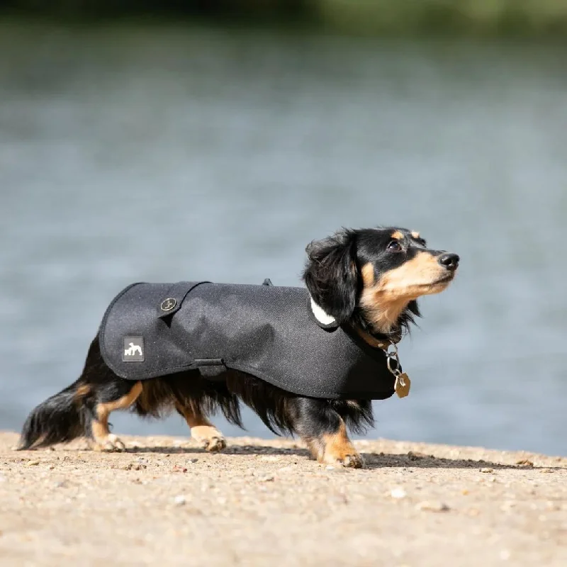 - Pet water dispenser UV sterilization versionCountry and Twee Waterproof Black Dachshund Dog Coat