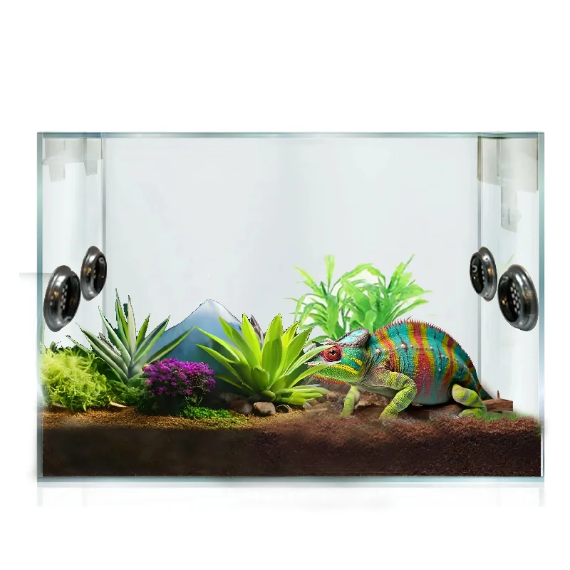 - Winter warm clothes for short-haired dogsTalis-us Acrylic Reptile Breeding Tarantula Enclosure Arboreal Habitat for Spiders Gecko