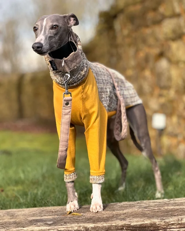 Ochre Yellow
