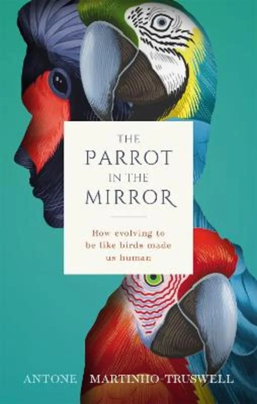 - ​​Pet toys under    yuanThe Parrot in the Mirror