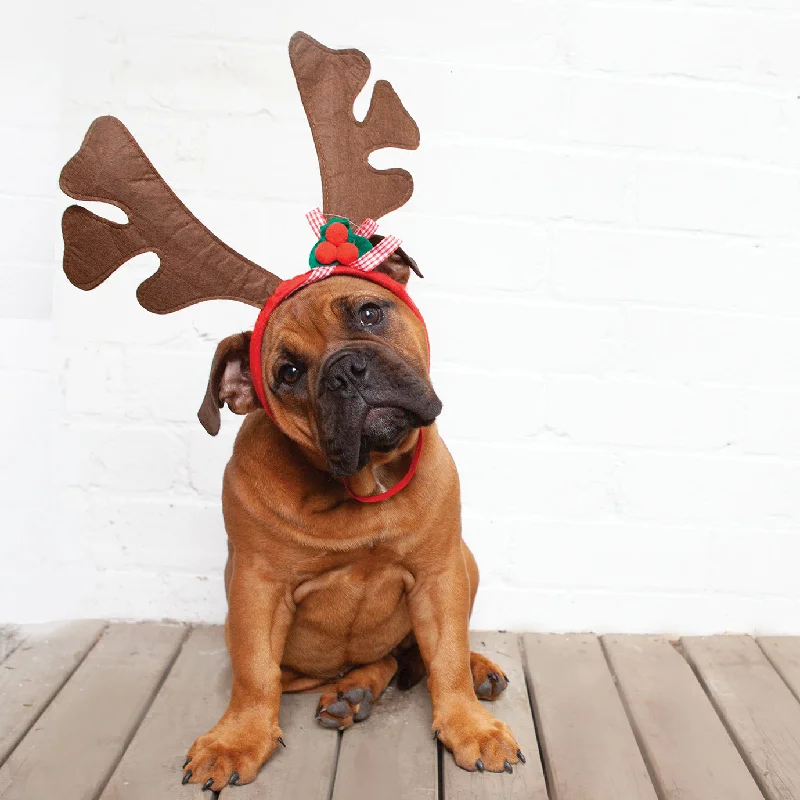 - Cat stress soothing sprayReindeer Antlers