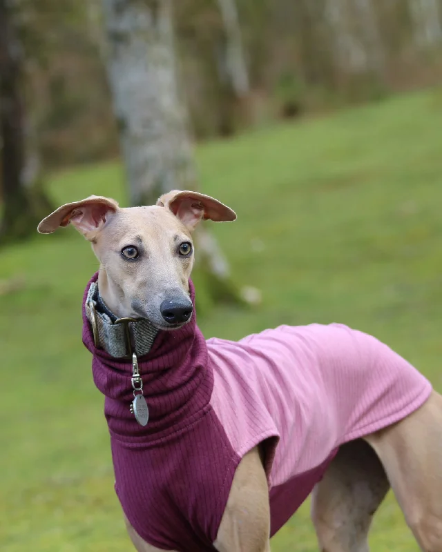  -Anti-slip claw protection raincoat FOR dogsTHE ENZO Jumper - Iggy Size