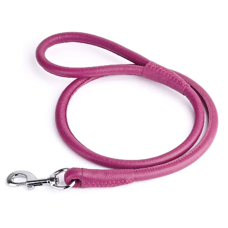 Pet wedding dressesSoft Leather Dog Leash