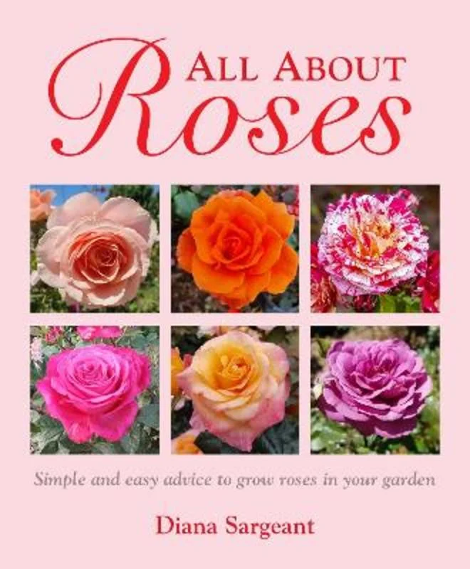 - Winter warm clothes for short-haired dogsAll About Roses