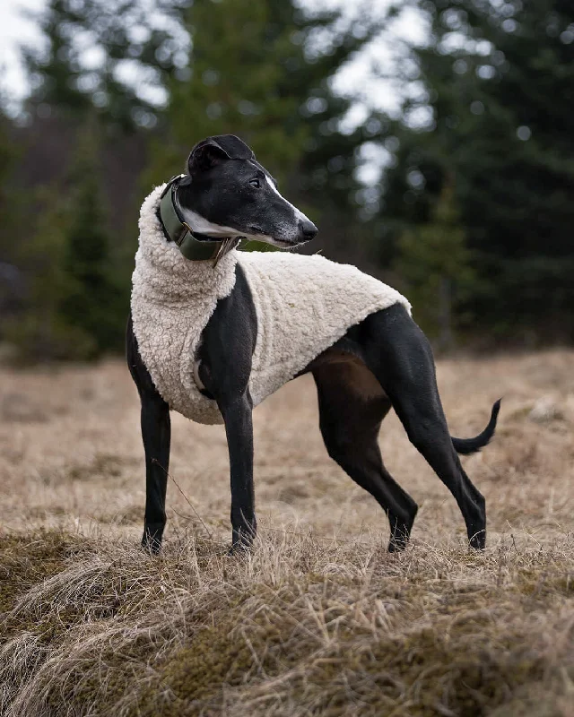- Deodorizing cat litter tofu litterTHE DRUNA Jumper - Iggy Size
