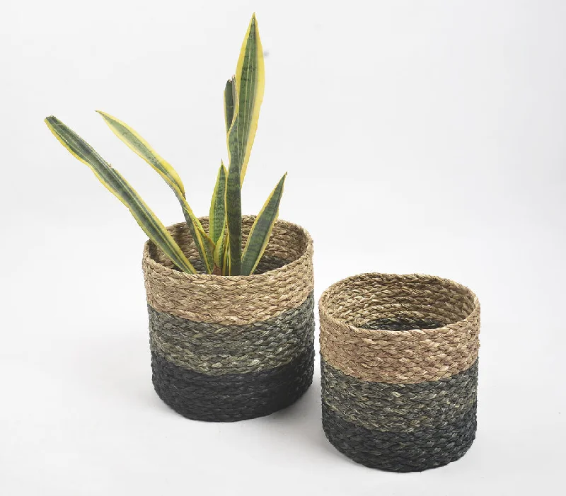  -Non-contact cat thermometerEarthy Sabai Grass Handwoven Planters (Set of 2)
