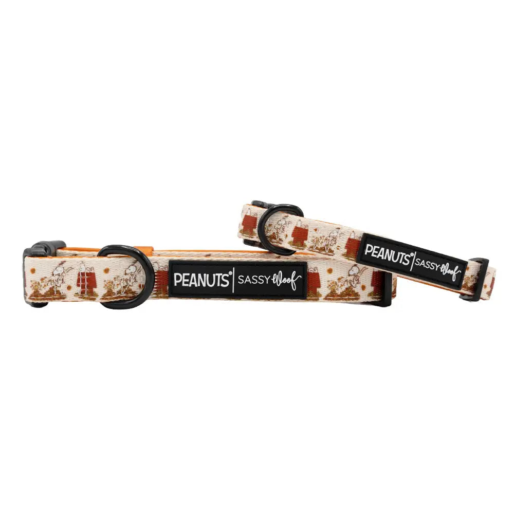 Classification by pet type:Peanuts™ Harvest Collar