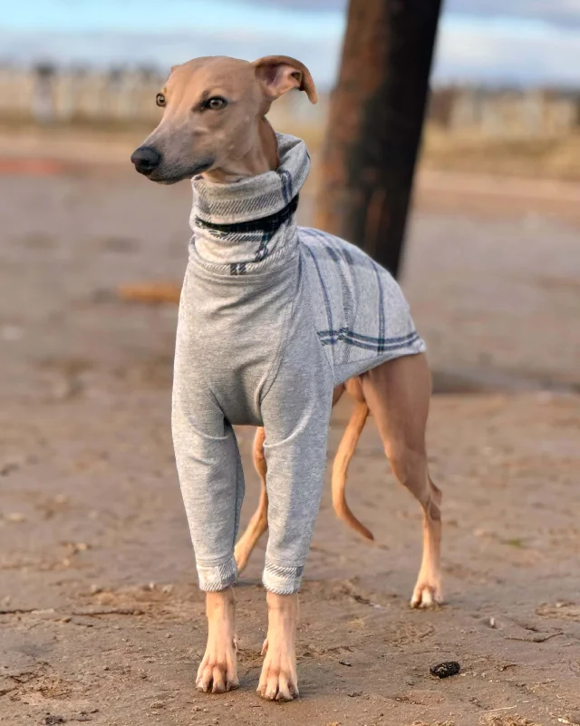 Grey Check