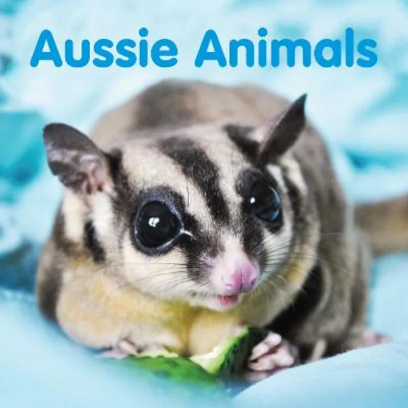 - Summer pet ice matAussie Animals